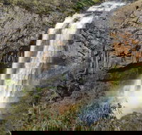 Waterfall Way Scenic Drive - Gold Coast Attractions