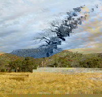 Weddin Mountains National Park - Gold Coast Attractions