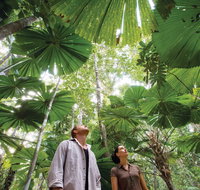 Wet Tropics Rainforest - Gold Coast Attractions