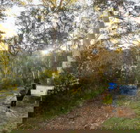 Yarrangobilly Caves  River walk - Gold Coast Attractions