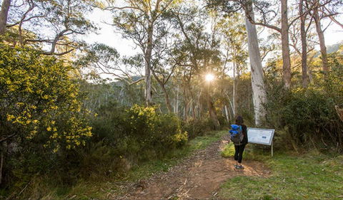 Yarrangobilly Caves – River Walk - Gold Coast Attractions 0