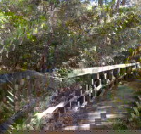Awaba Bay Foreshore Walk - Gold Coast Attractions