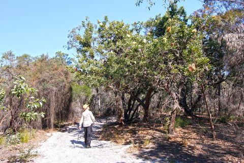 Banksia Track, Burrum Coast National Park - Gold Coast Attractions 1