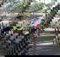 Bidgee Riverside Trail  - Hay Nature Walk - Gold Coast Attractions