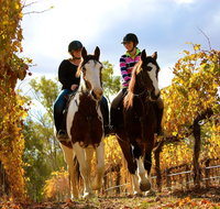 Billabong Ranch Adventure Park - Gold Coast Attractions