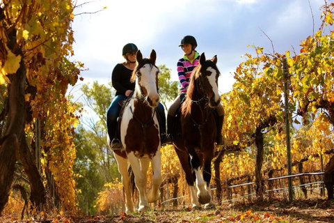 Billabong Ranch Adventure Park - Gold Coast Attractions 0