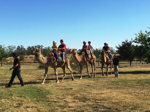 Billabong Ranch Adventure Park - Gold Coast Attractions 1
