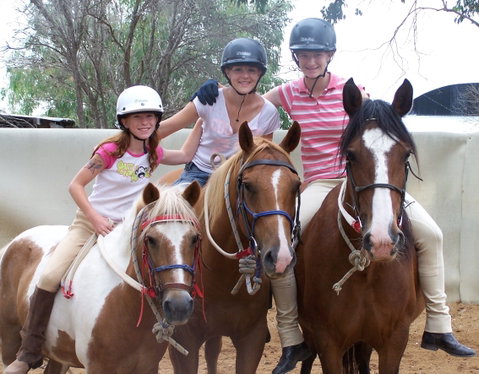 Billabong Ranch Adventure Park - Gold Coast Attractions 2