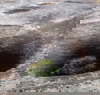 Blowhole and the Rocks - Gold Coast Attractions