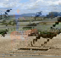 Boggy Creek Show - Gold Coast Attractions