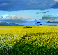 Borden - Gold Coast Attractions