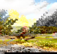 Bright - Gold Coast Attractions