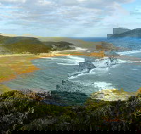 Bullimah Spur Track - Gold Coast Attractions