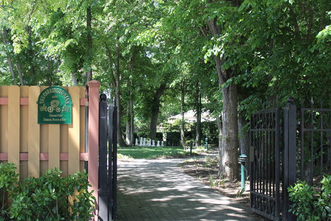 Bungendore Heritage Walk - Gold Coast Attractions 0