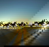 Cable Beach - Gold Coast Attractions