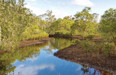 Canoe Evans River Paddle Route - Gold Coast Attractions 0