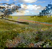 Coorow Wildflower Drive - Gold Coast Attractions