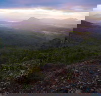 Cunninghams Gap and Spicers Gap Main Range National Park - Gold Coast Attractions