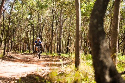 Davies Creek Mountain Bike Park - Gold Coast Attractions 1