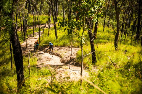 Davies Creek Mountain Bike Park - Gold Coast Attractions 2