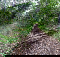 Double Wharf Trail - Gold Coast Attractions