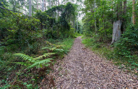 Double Wharf Trail - Gold Coast Attractions 0