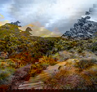 Dove Lake - Gold Coast Attractions