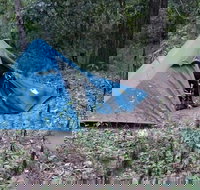 England Creek Bush Camp - Gold Coast Attractions