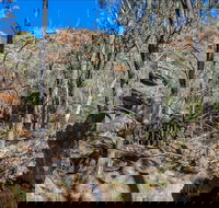 Eualdrie Walking Track - Gold Coast Attractions