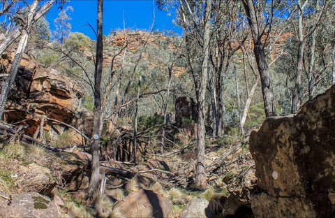 Eualdrie Walking Track - Gold Coast Attractions 0