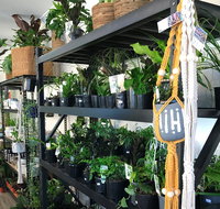 Fancy Plants - Gold Coast Attractions
