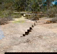 Finchley Cultural Walk - Gold Coast Attractions