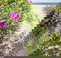 Fort Bribie - Gold Coast Attractions