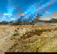 Goldseekers track - Gold Coast Attractions