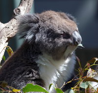 Gorge Wildlife Park - Gold Coast Attractions
