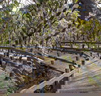 Governor Summit Corrunbral Borawah Walking Track - Gold Coast Attractions