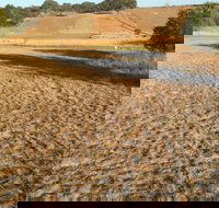 Gunning Golf Club - Gold Coast Attractions