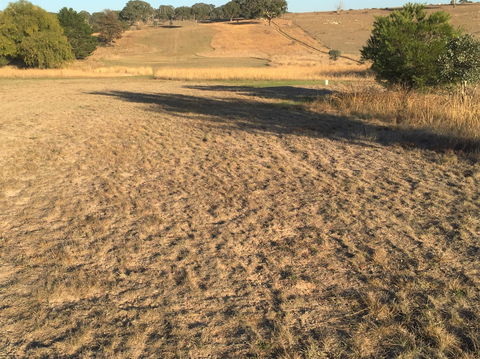 Gunning Golf Club - Gold Coast Attractions 0