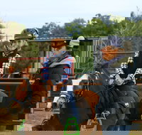 Horse Riding Lessons and Trail Rides - Gold Coast Attractions