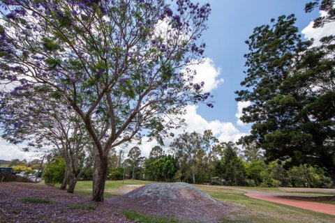 John Scott Park - Gold Coast Attractions 0