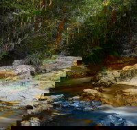 Jumrum Creek Walk Jumrum Creek Conservation Park - Gold Coast Attractions