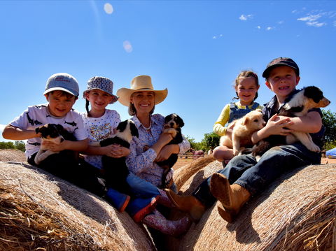 Katherine Outback Experience - Gold Coast Attractions 1