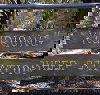 Kuriong Sheep Station - Gold Coast Attractions