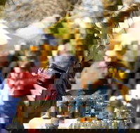 Lancefield - Gold Coast Attractions