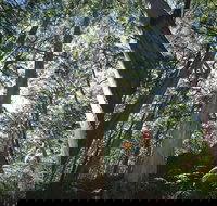 Leeuwin-Naturaliste National Park - Leeuwin - Gold Coast Attractions