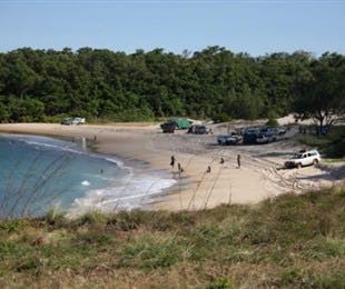 Little Bondi Beach - Gold Coast Attractions 2