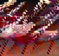 Loviz Arts Gallery - Gold Coast Attractions