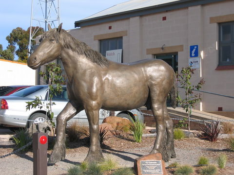 Maitland - Gold Coast Attractions 0