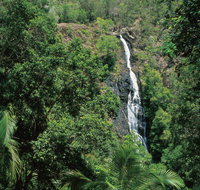 Mapleton Falls National Park