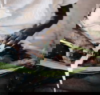 Marrawuddi Gallery - Gold Coast Attractions